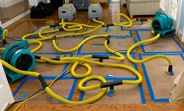 Professional Burst Pipe Water Damage technician working in Lakewood, IL